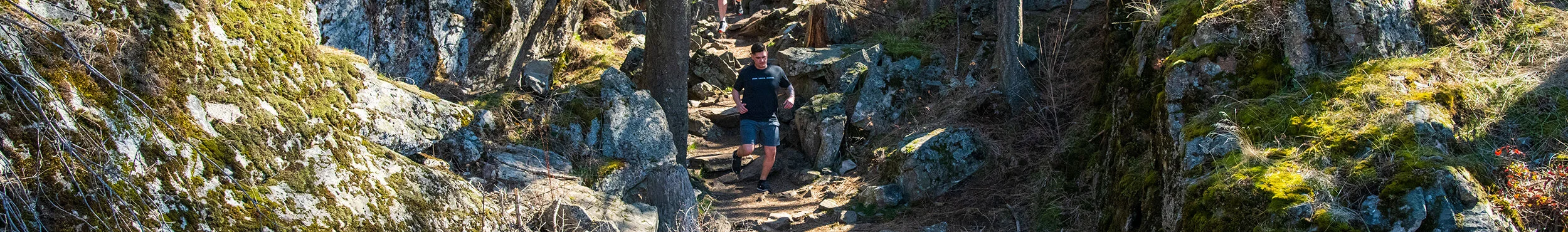 Miles of Remembrance: Armed Forces Day