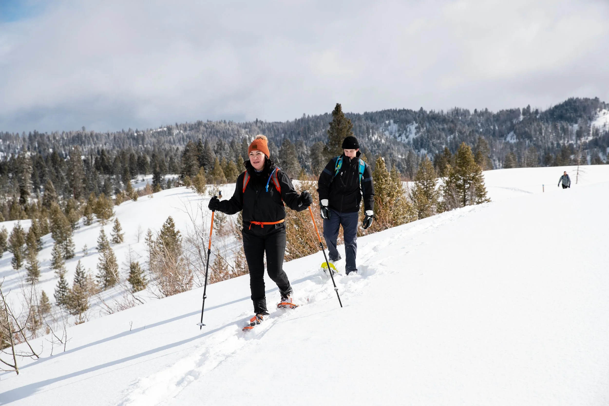 Winter Hiking Series: Banner Ridge Loop
