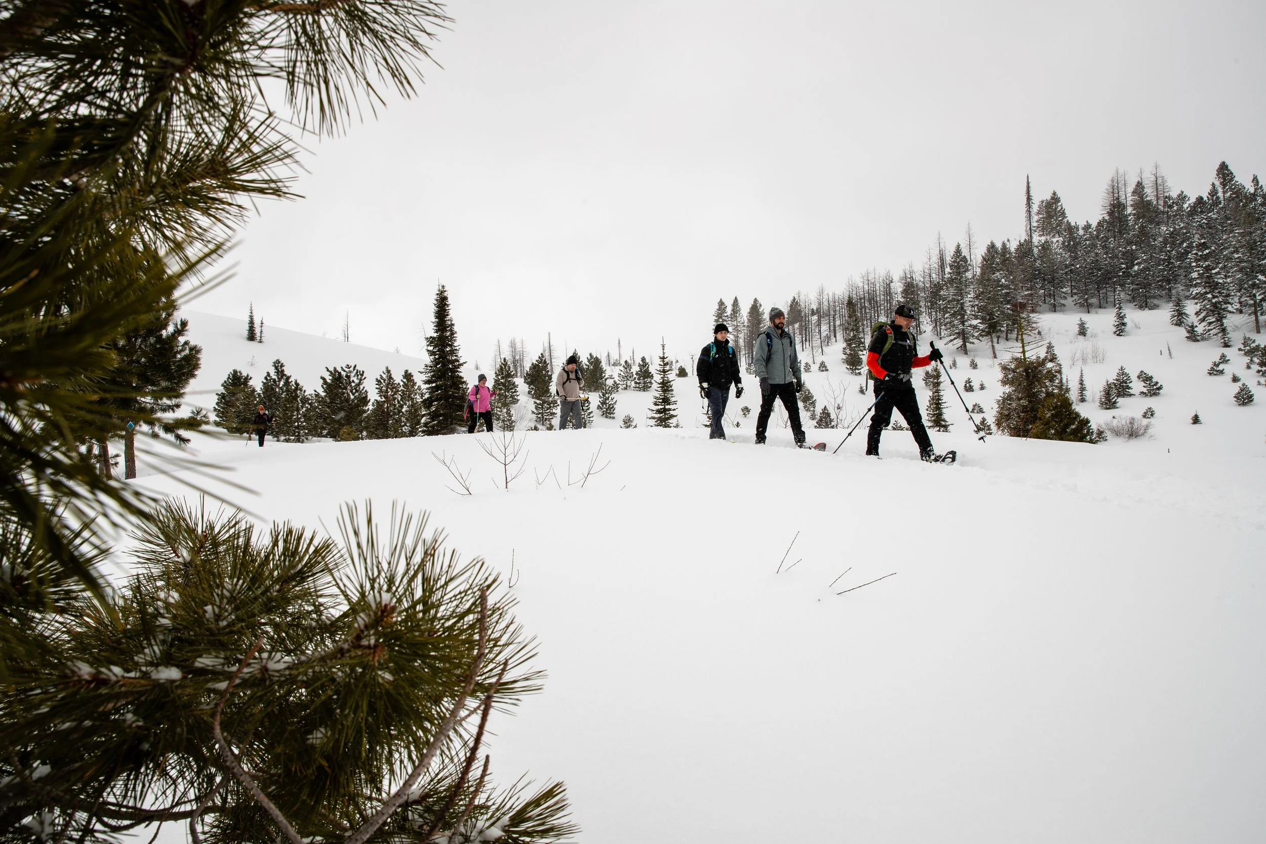 Snowshoeing: Whoop-Um-Up