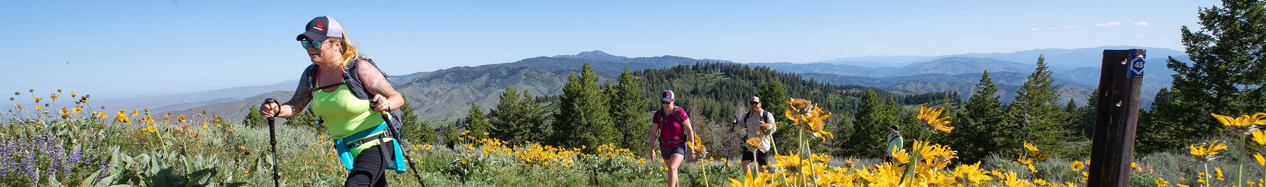 Summer Hiking Series: Homestead Trail