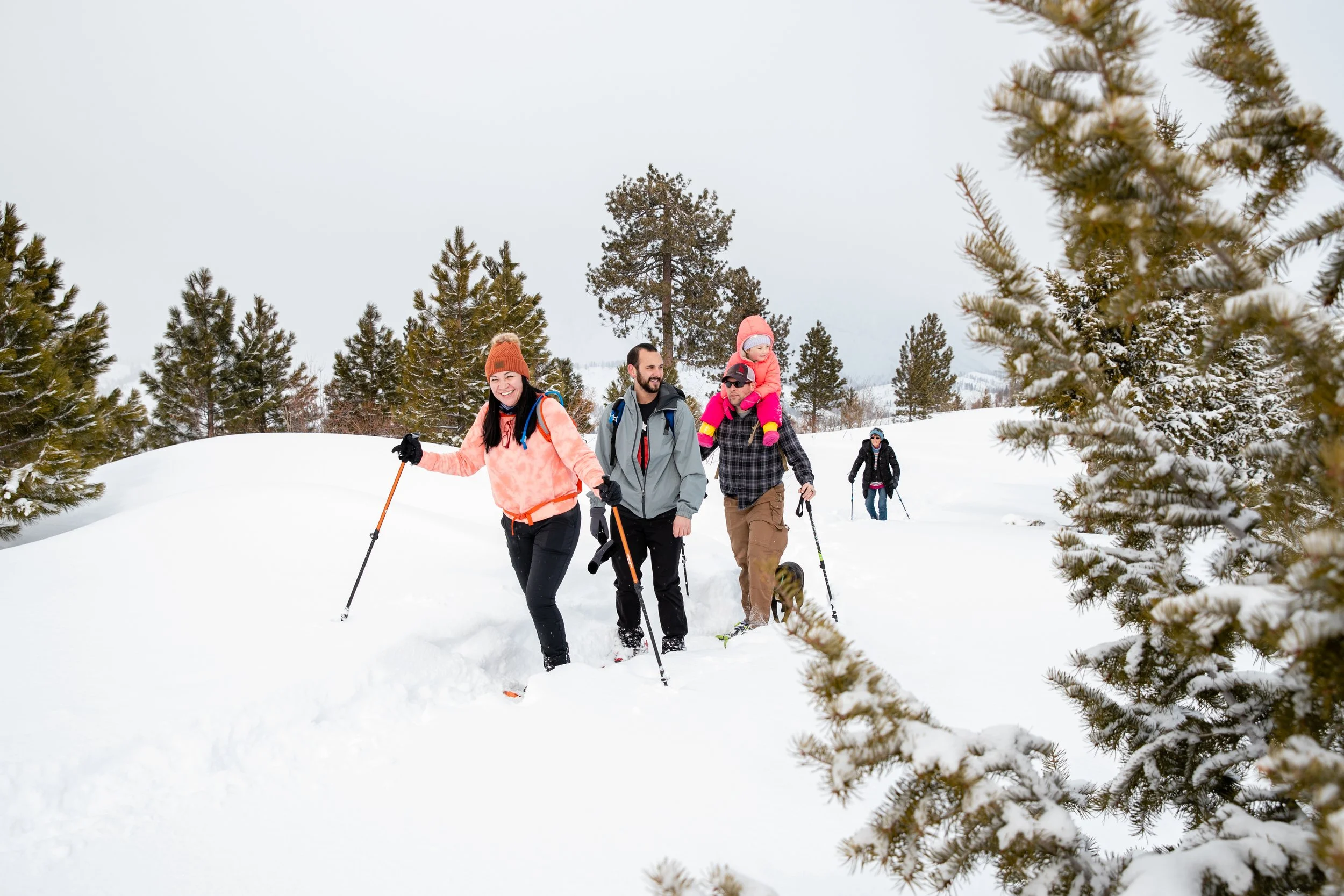 (CANCELED) Snowshoeing: Banner Ridge