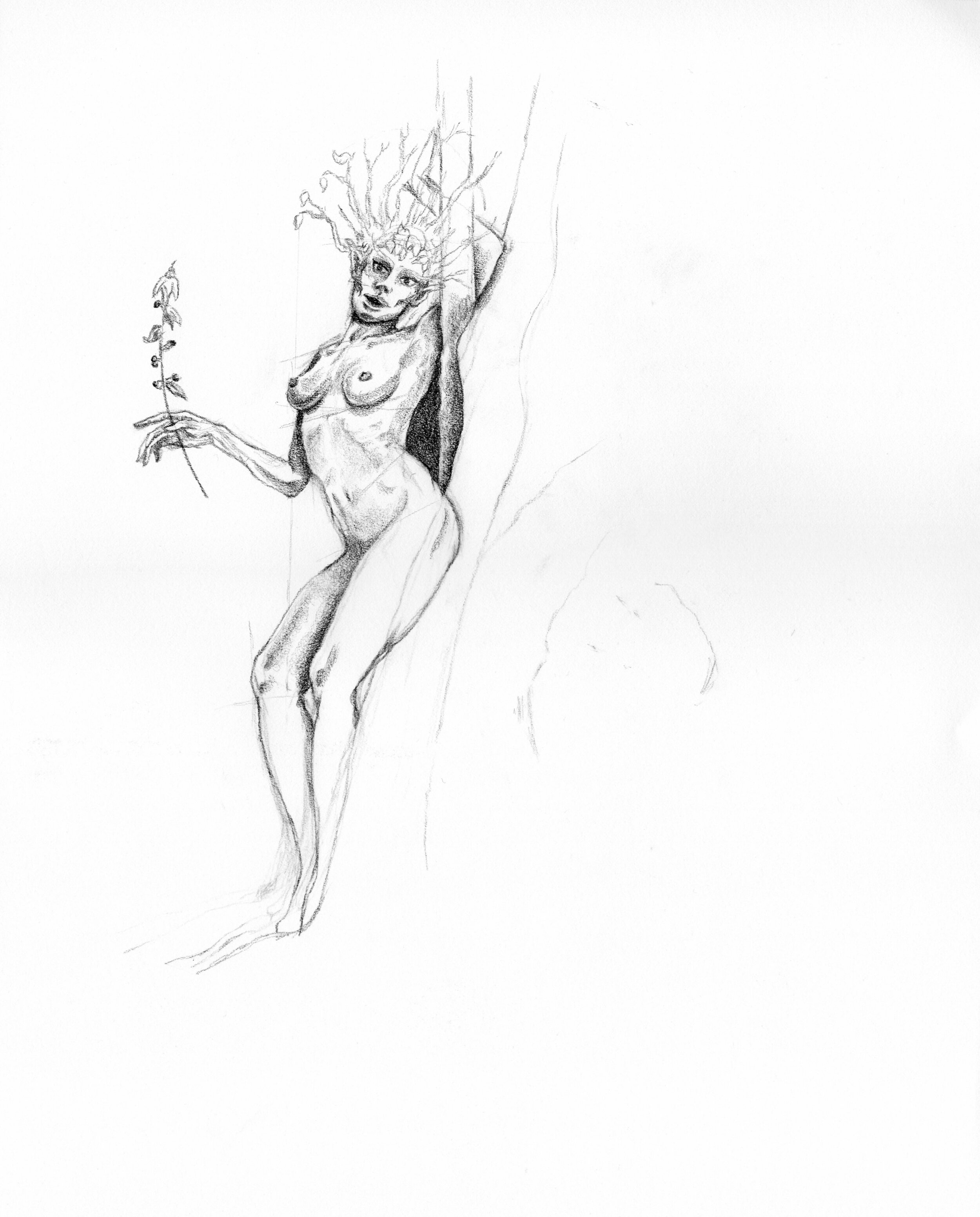Dryad. 2020.
