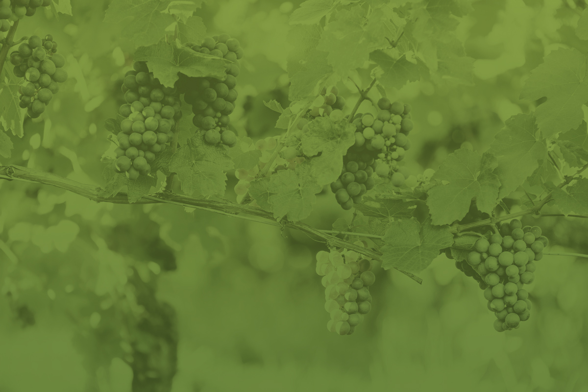VIN039_Spring-sponsors-header-v1.png
