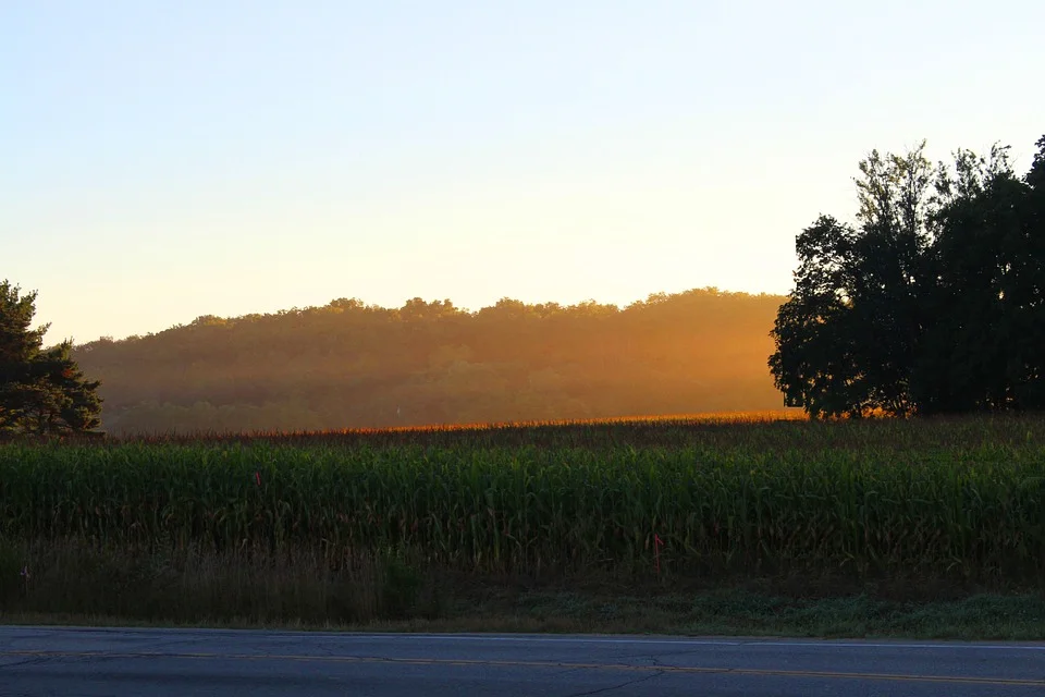 sunlight-976629_960_720.jpg