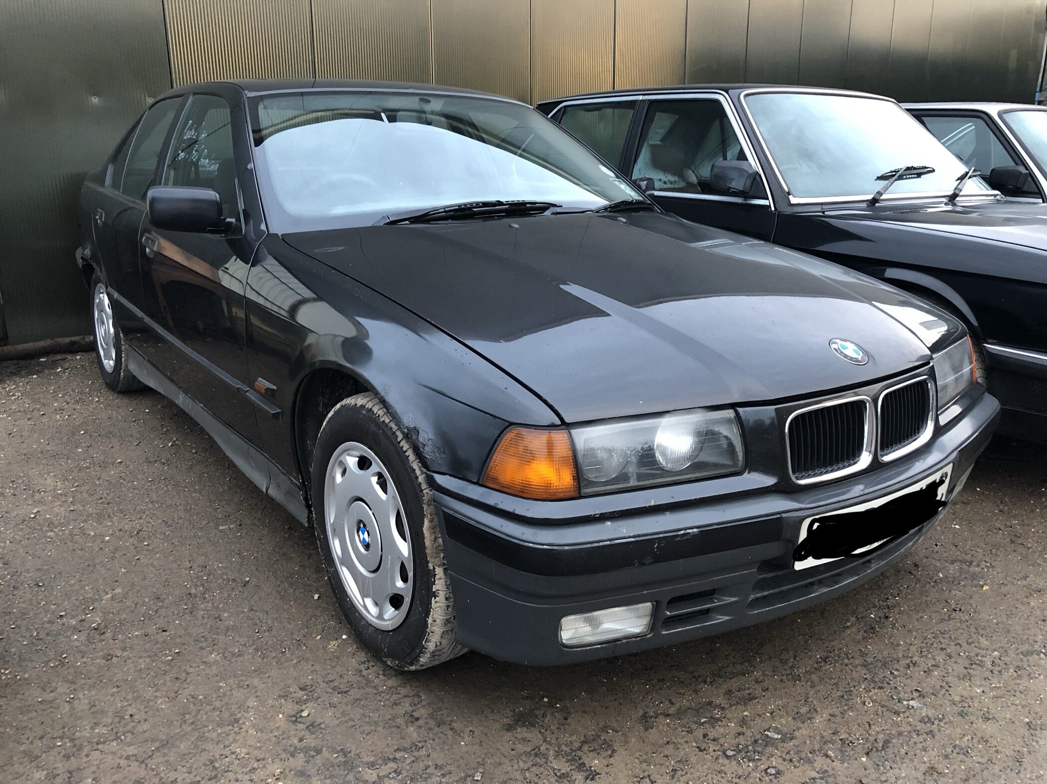 BMW E36 M3 review: the sensible buy