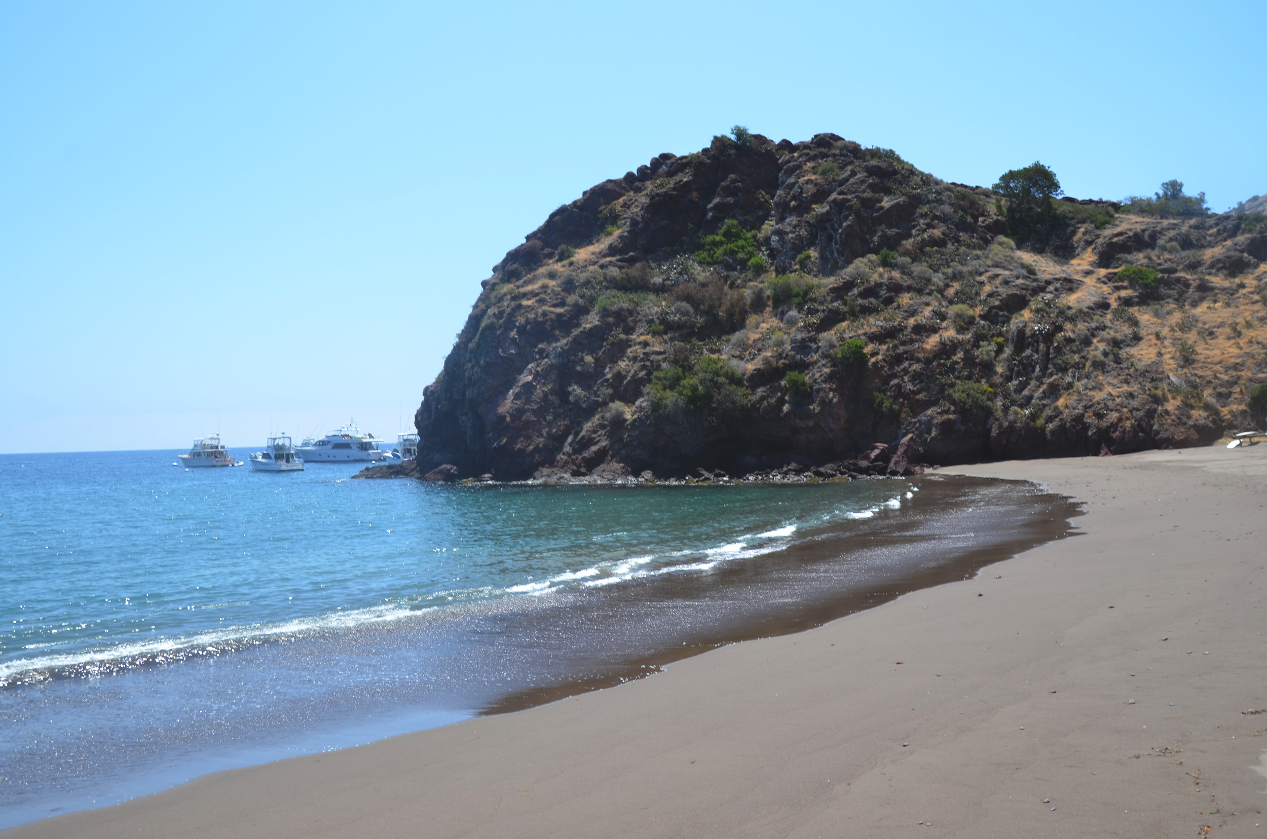 catalina and easter 348 new.jpg