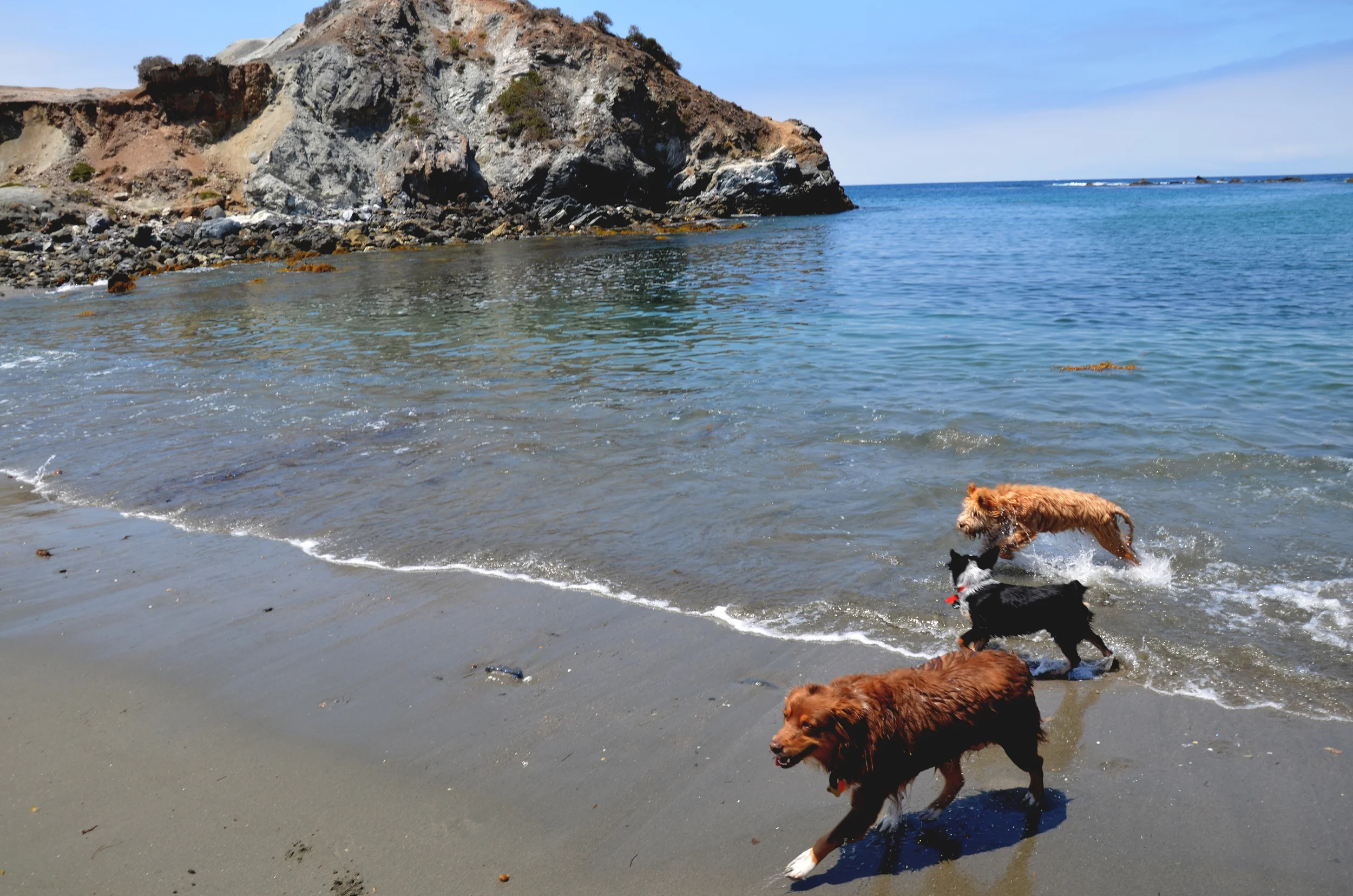 catalina and easter 143 new.jpg