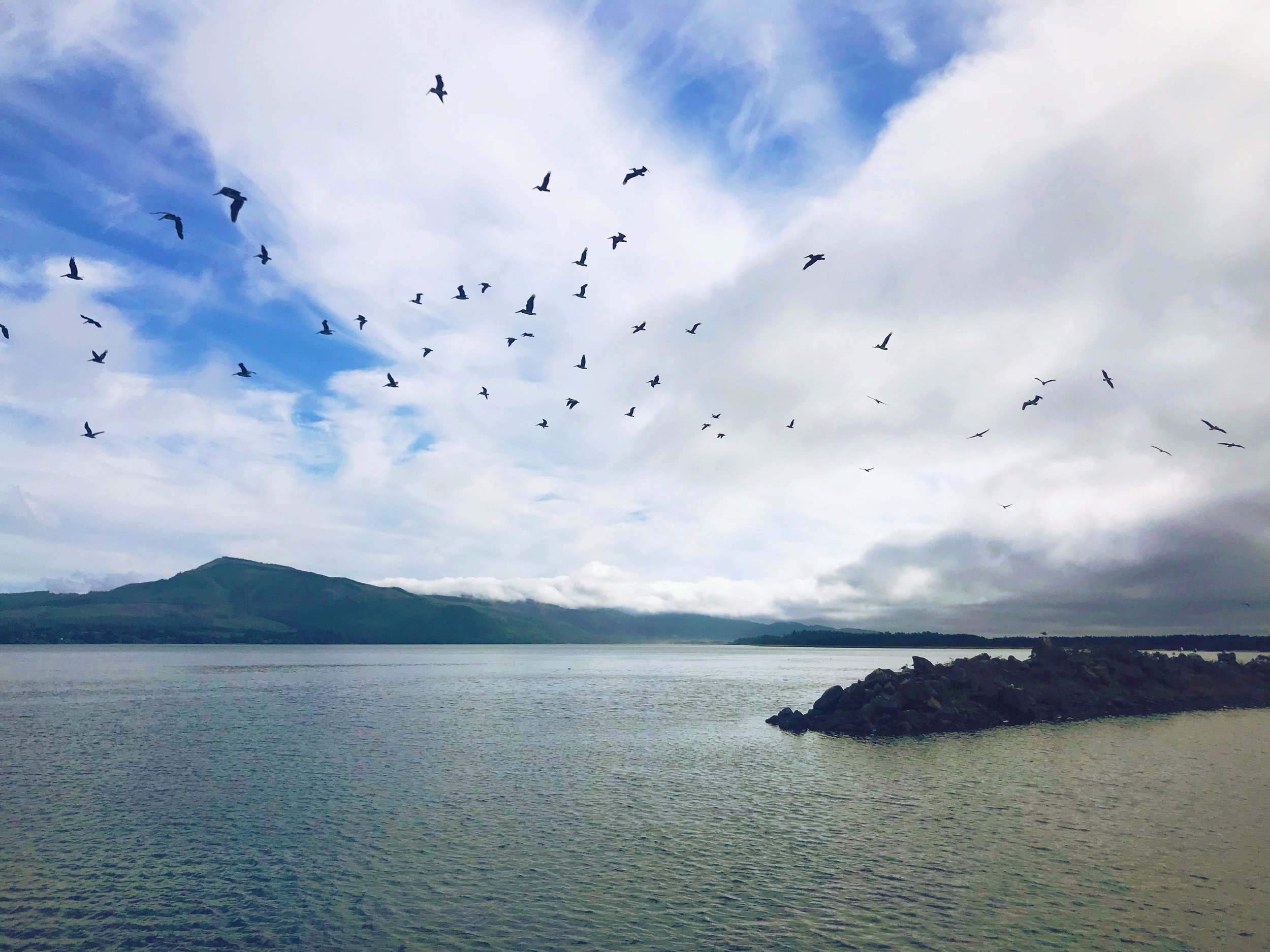 AfterlightImage(9).jpg