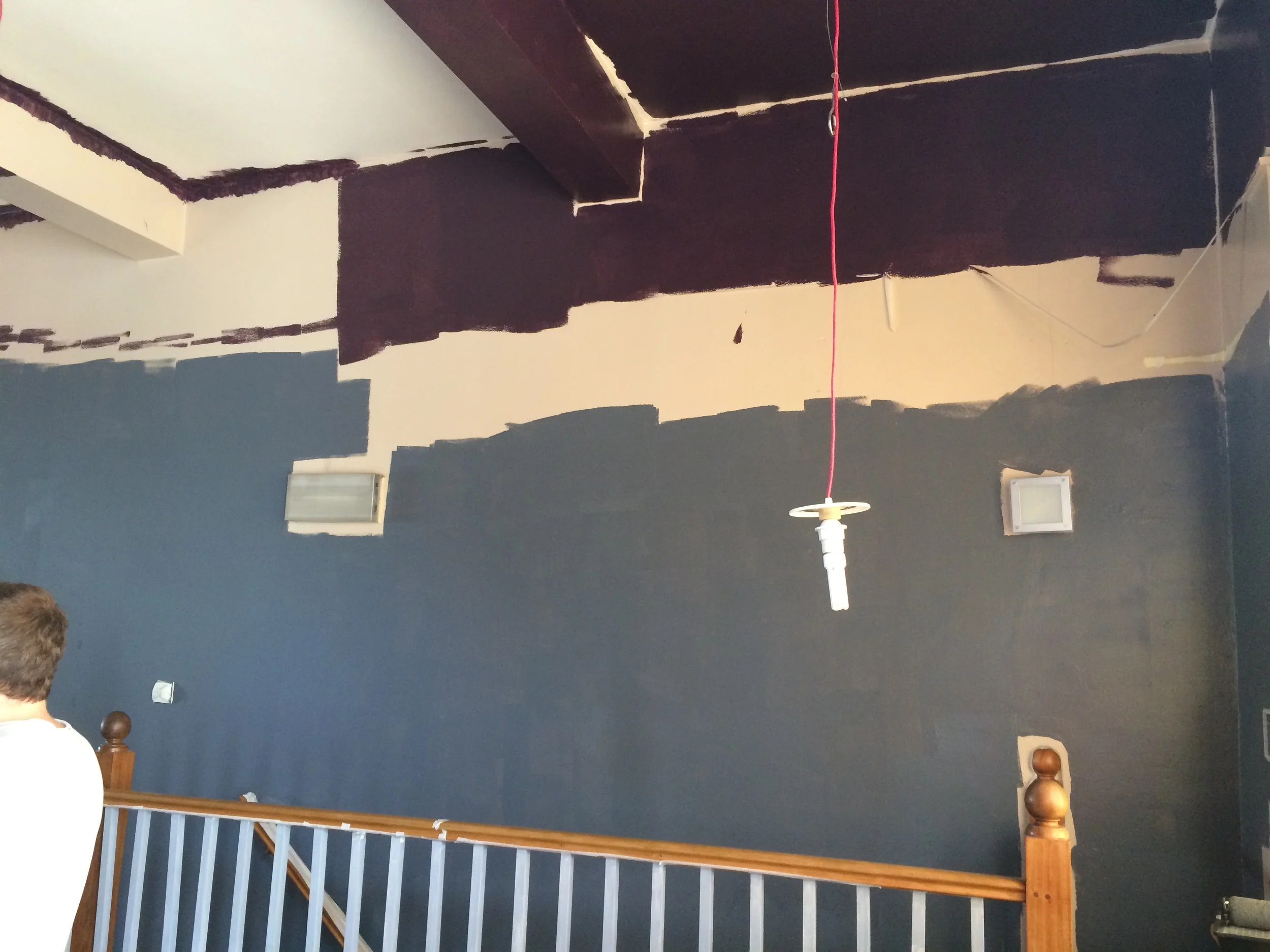 'I promise, I have a plan!' -me to our sceptical paint crew (aka friends and family!)