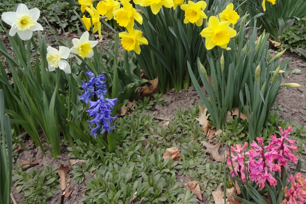 Off and running.......