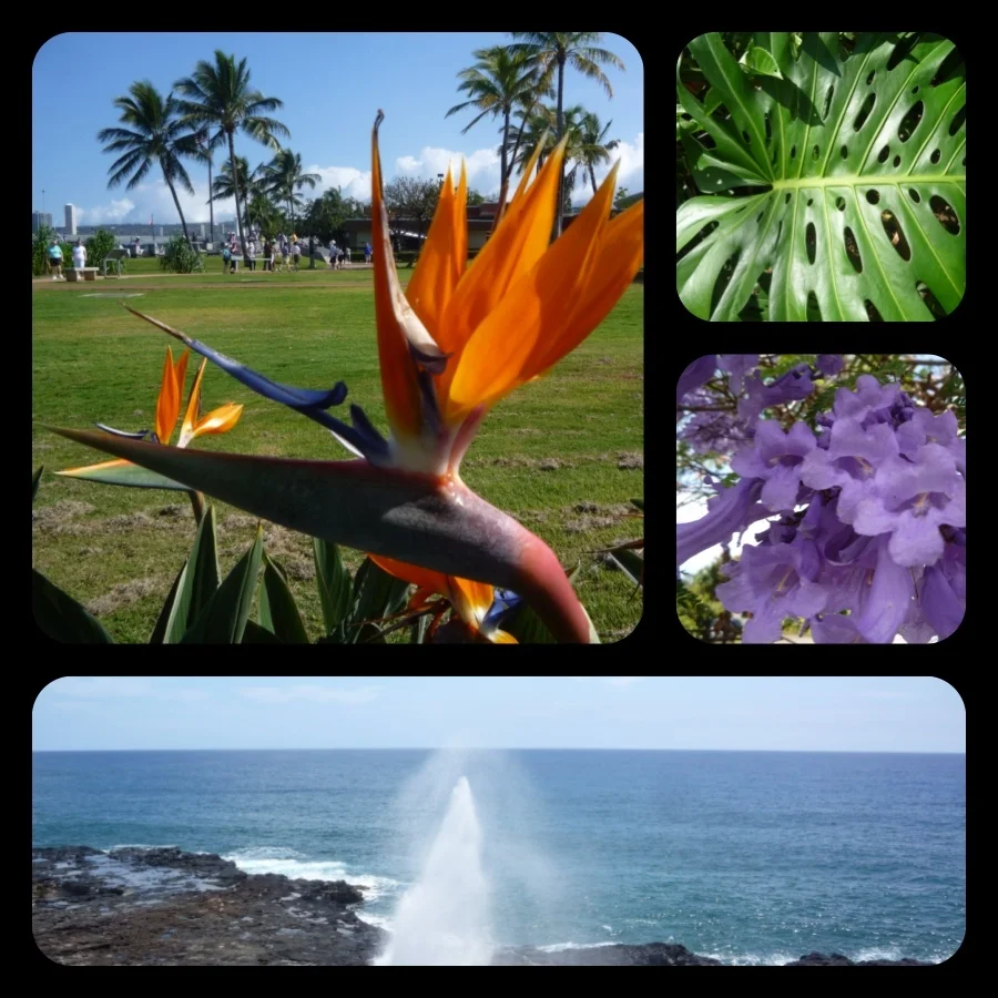 April in Hawai'i