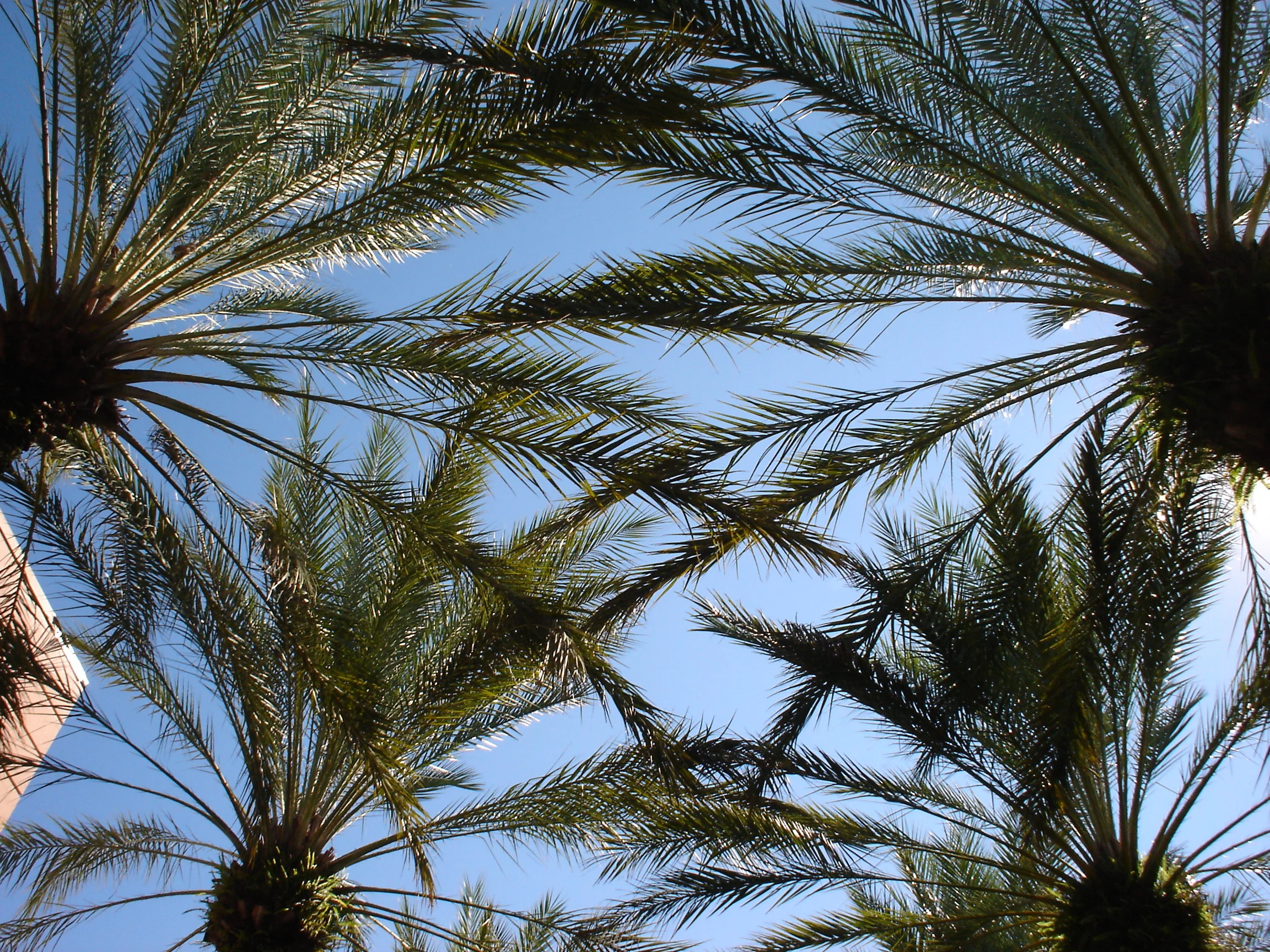 Leaving the cold....