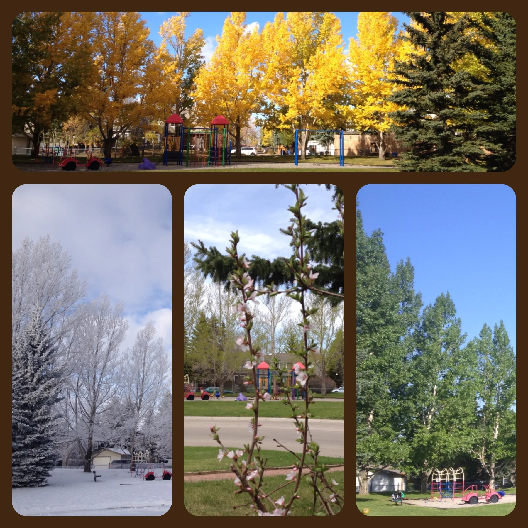 The Four Seasons full circle