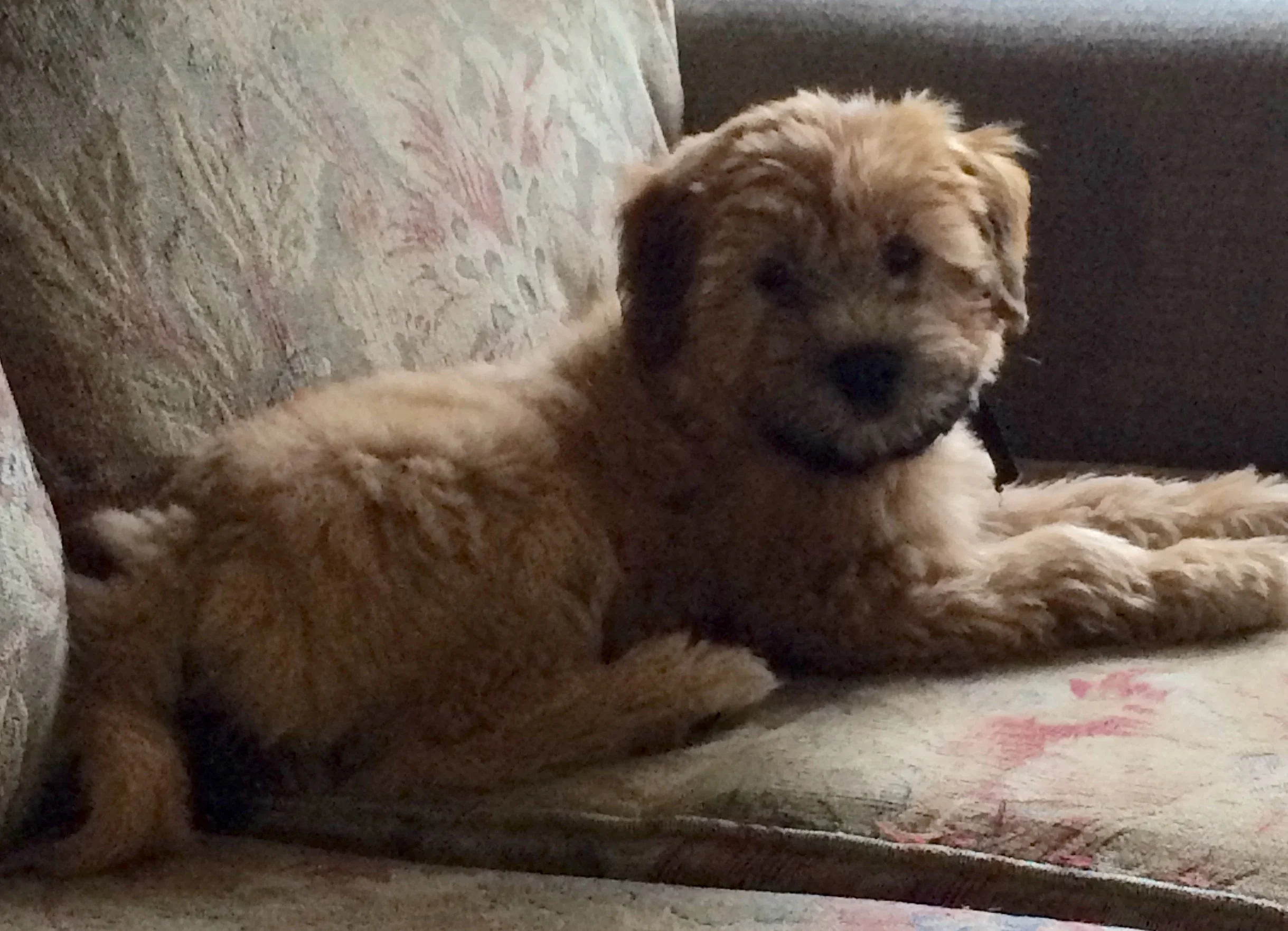 a Few things to share....