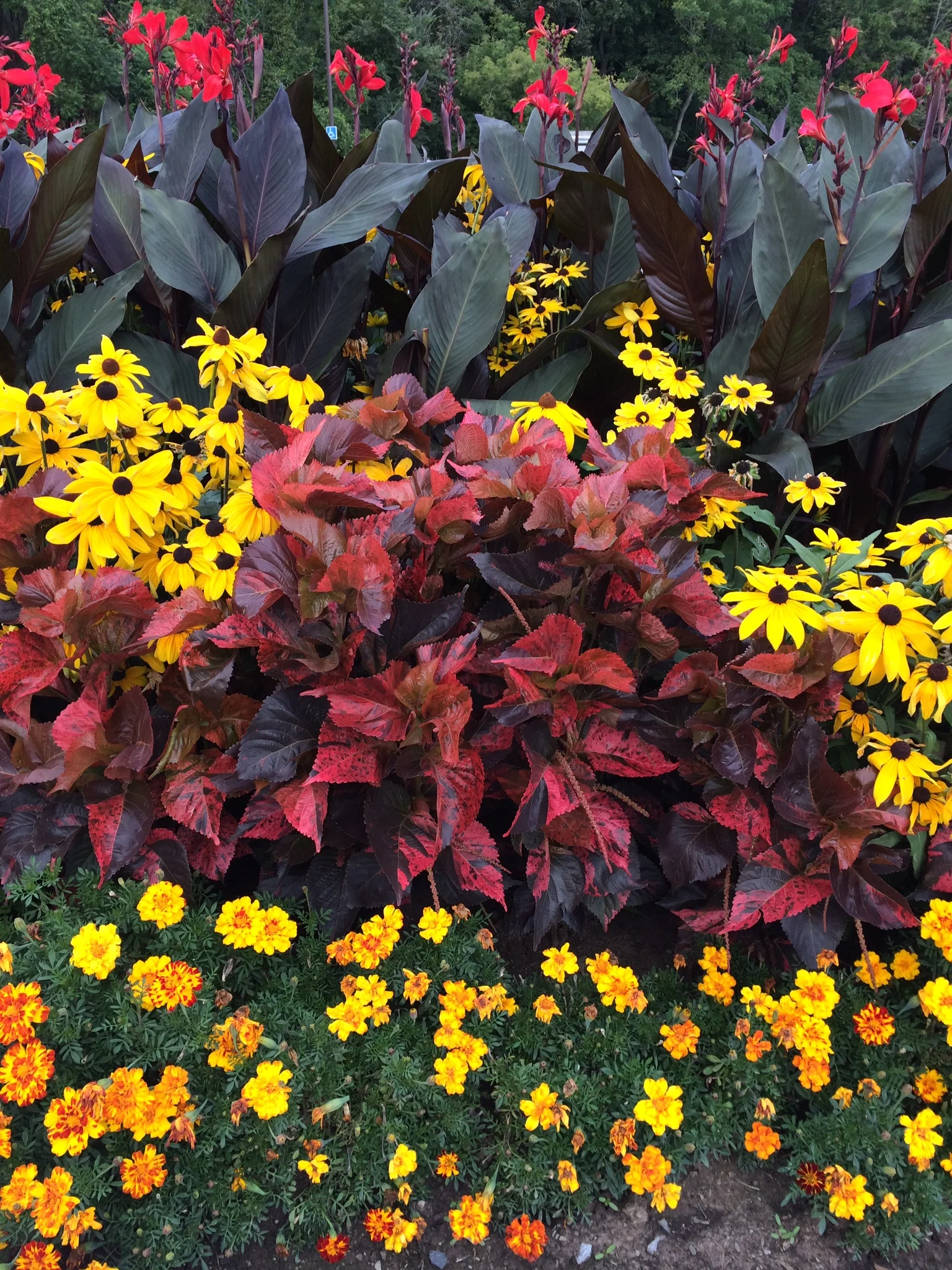 Canadian Thanksgiving
