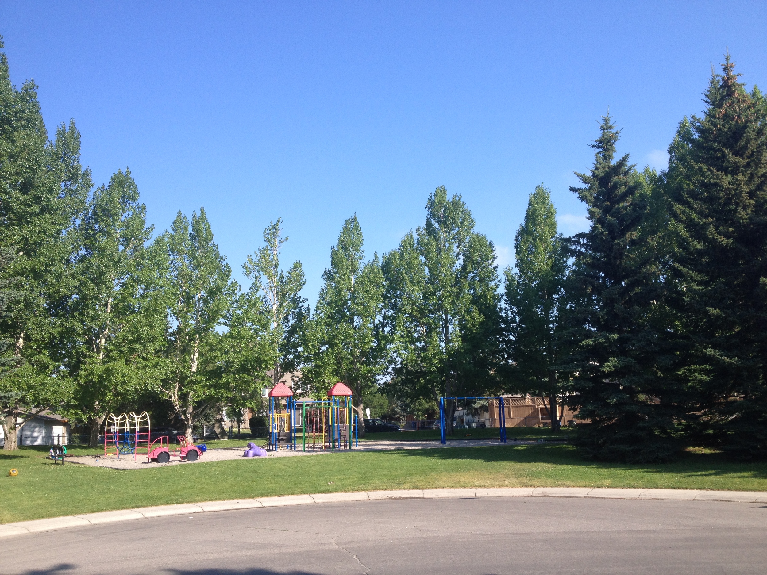 Summer-2014.jpg
