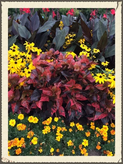 Gardens.jpg