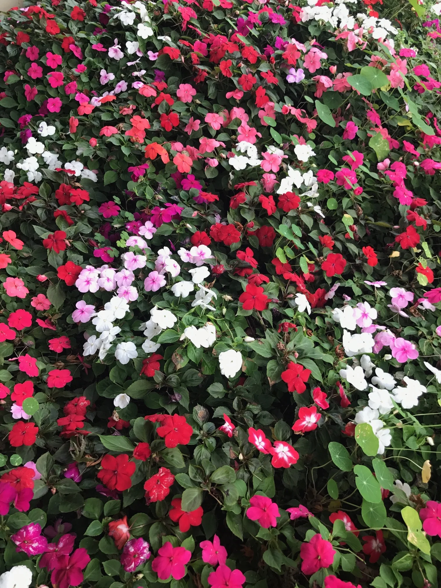 And we are into fall....