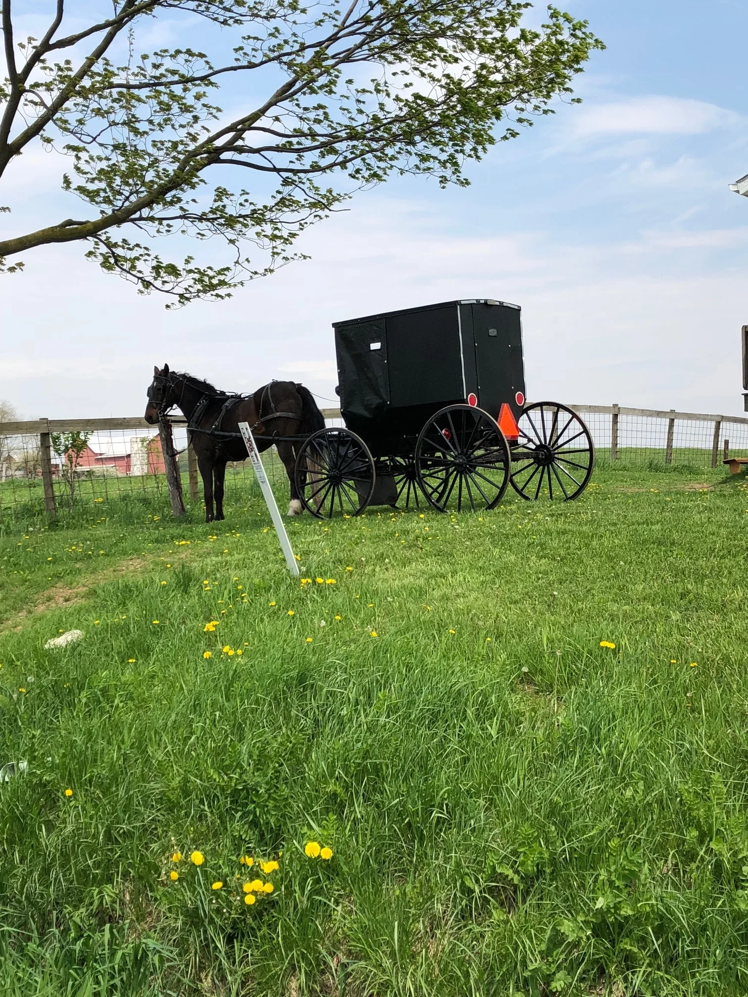 Amish Country Ohio