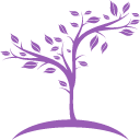 develop.png