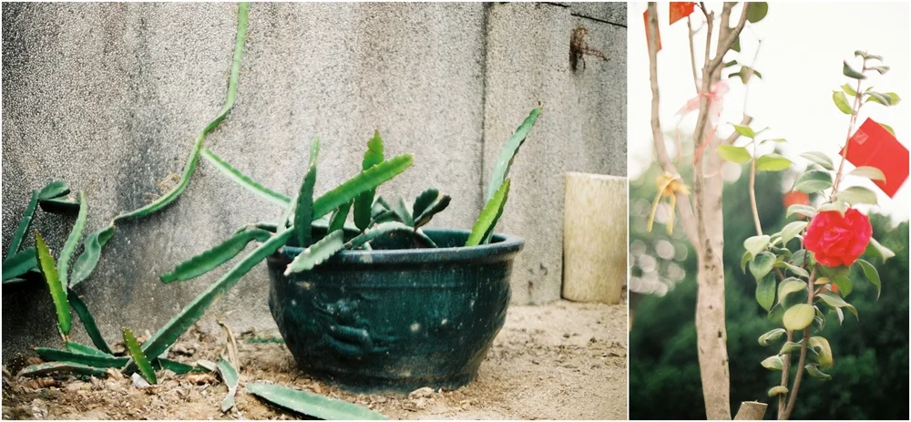 suzanne_li_photography_fuji400h_0087.jpg