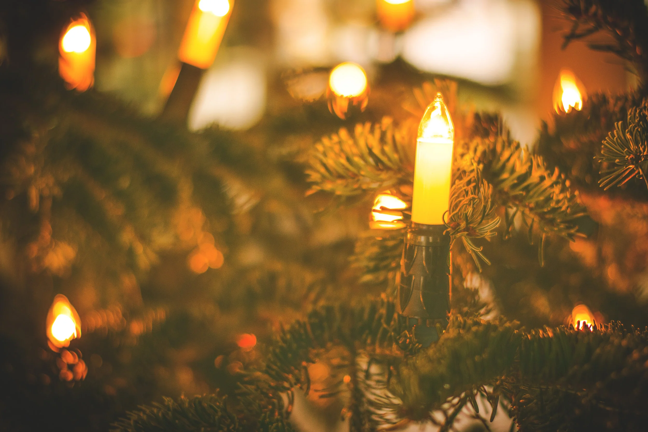 Merry Christmas!