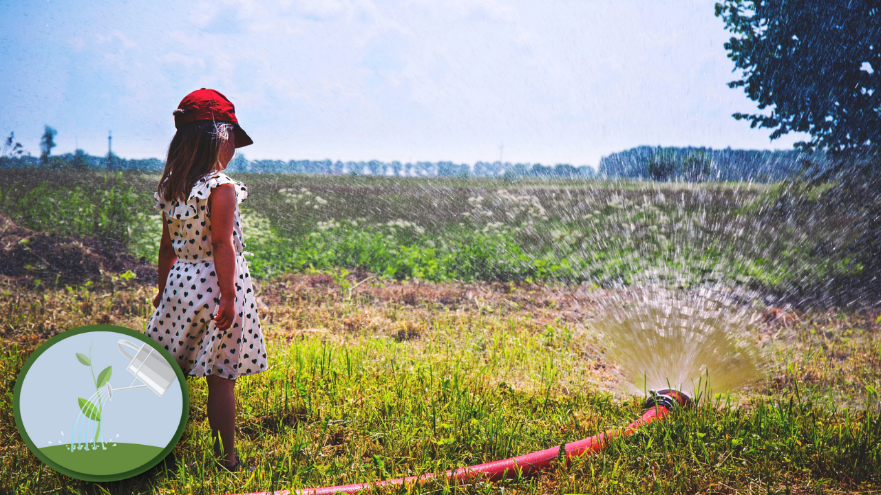 Watering the Soil