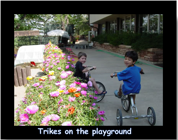 Trikes on the playground.PNG