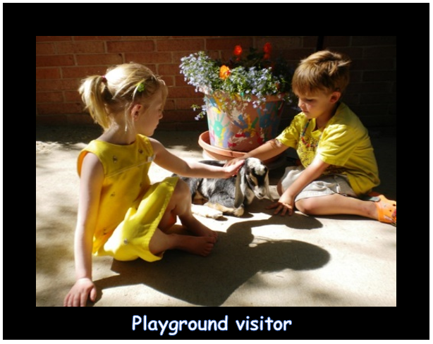 Playground Visitor.PNG