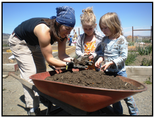 HOME PAGE Program.PNG