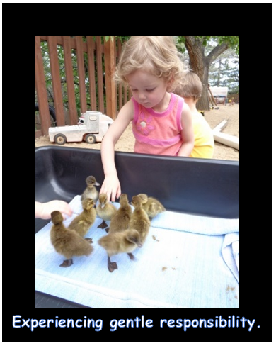 Gentle responsibility.PNG