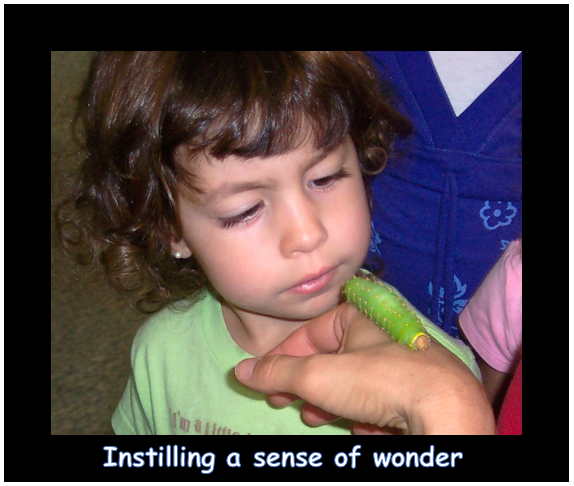 instilling a sense of wonder.PNG