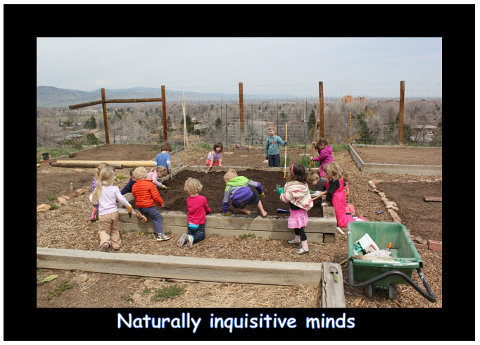 Naturally inquizitive minds.PNG