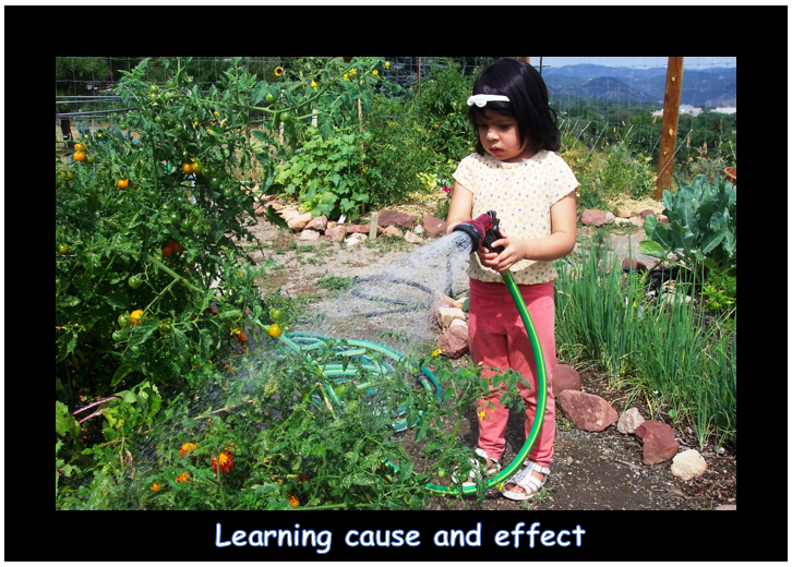 learning cause and effect.PNG