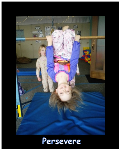 persevere.PNG