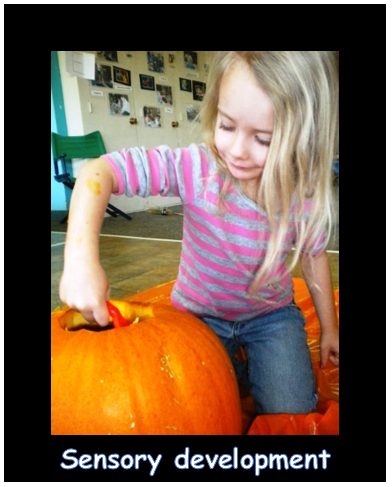 sensory development.PNG