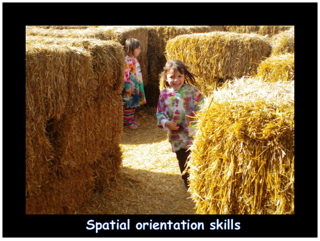 Spatial orientation skills.PNG