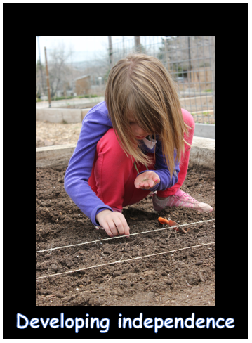 developing independence.PNG