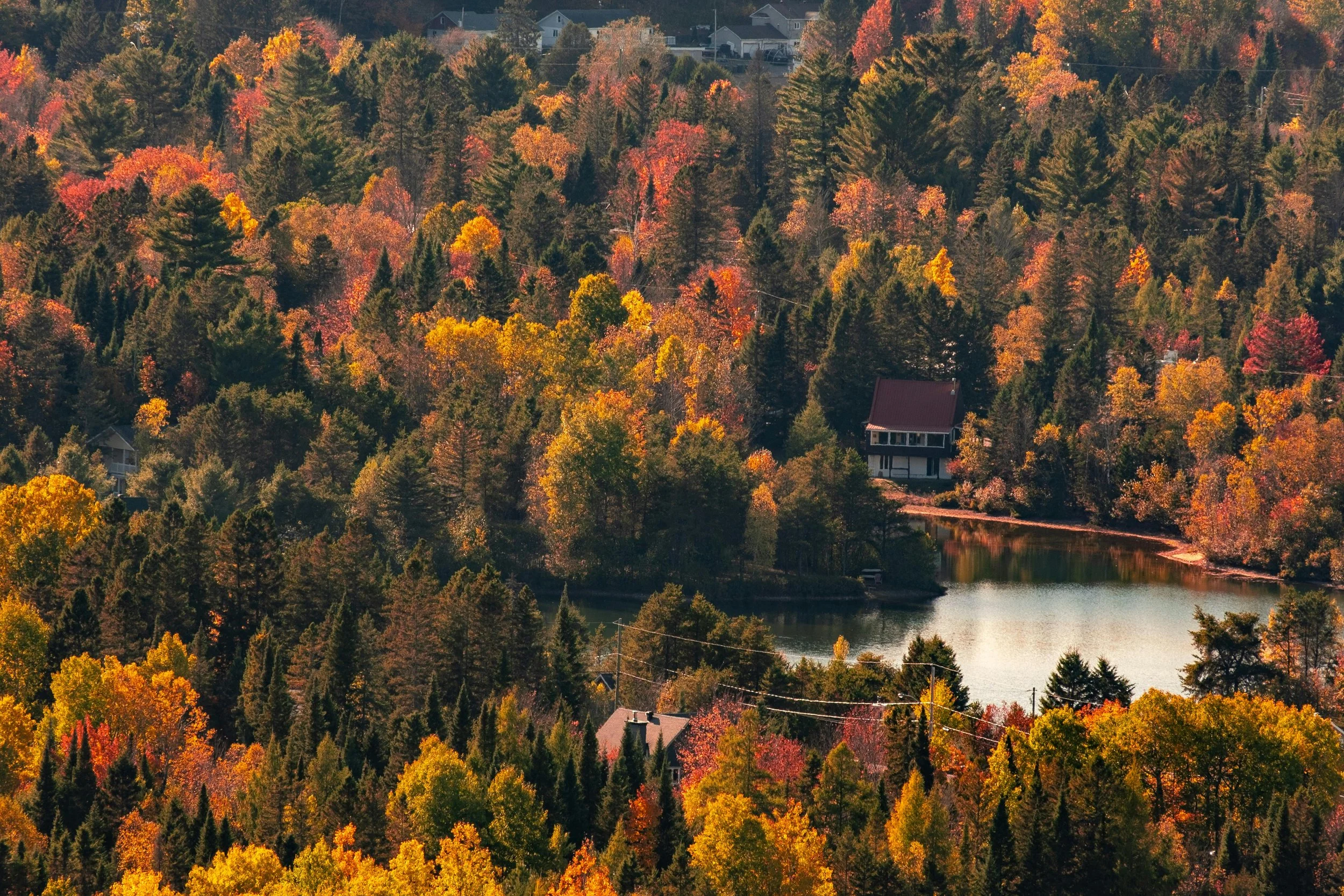 Should I Shop Around Before My Mortgage Renewal?