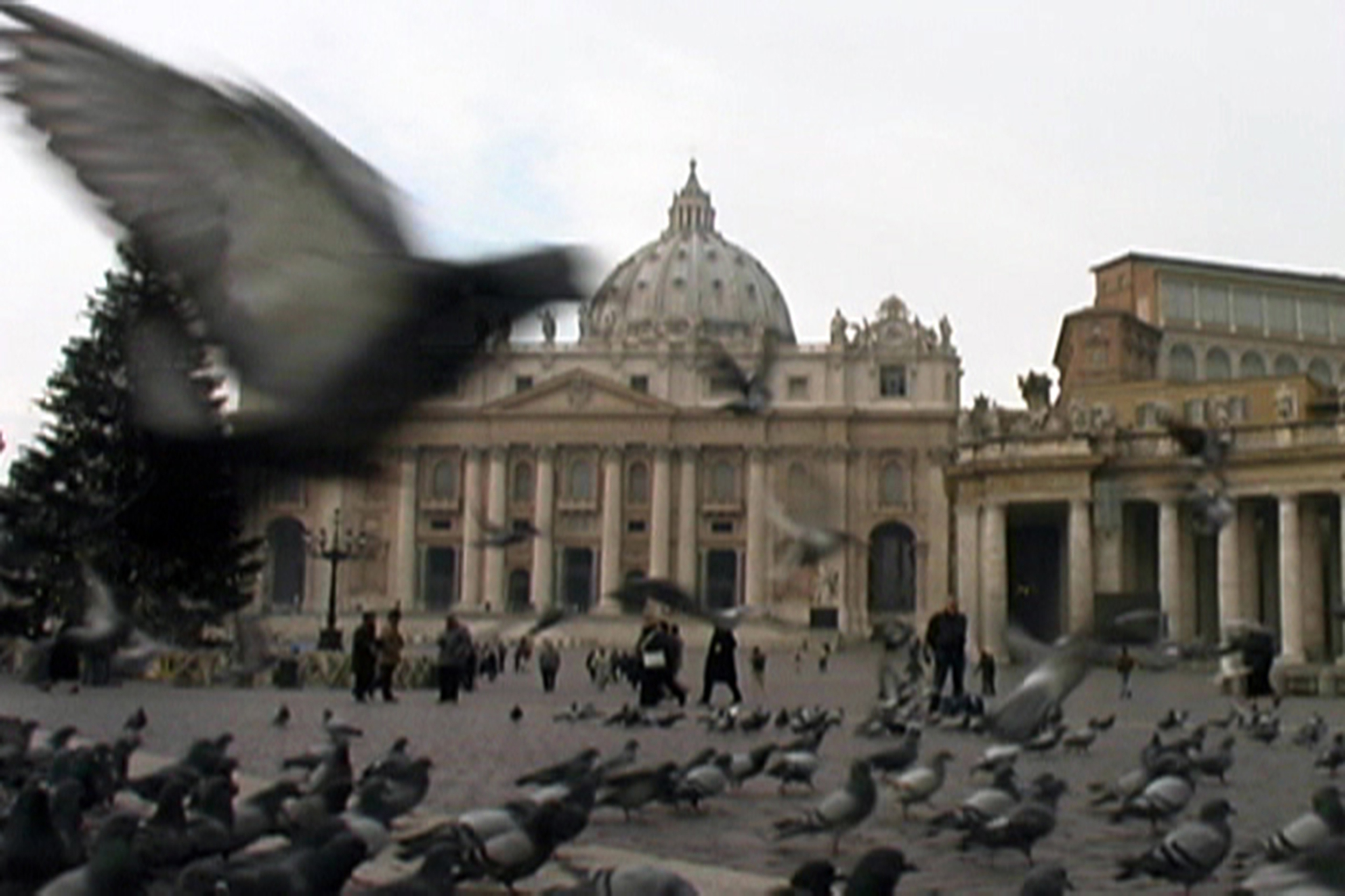 Birds in St. Peter's Square