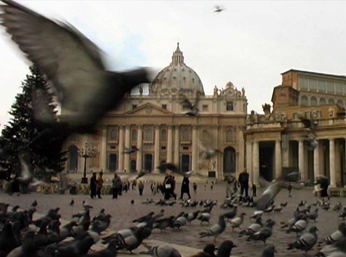 Colombi al Vaticano