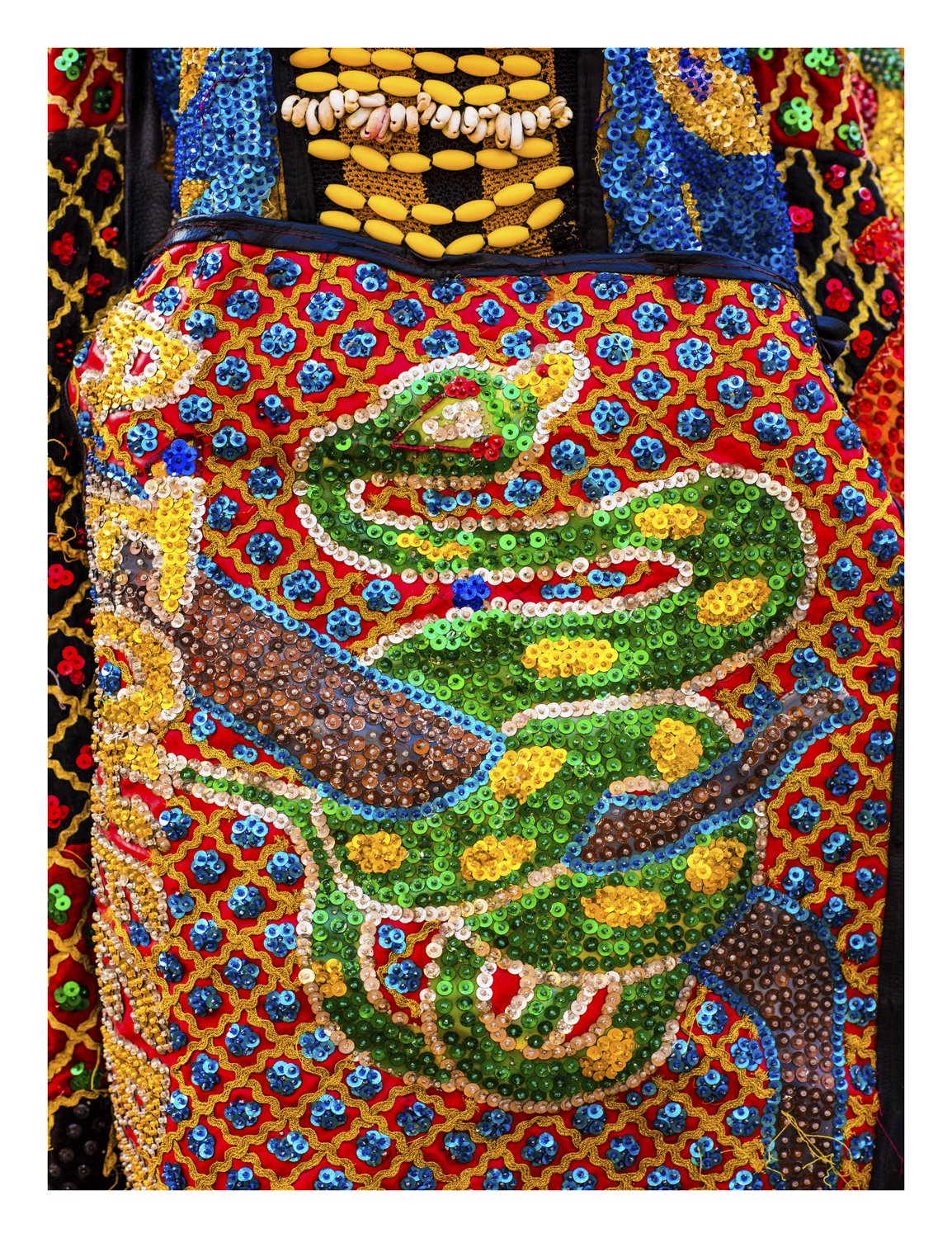Embroidered Serpent Detail.jpg