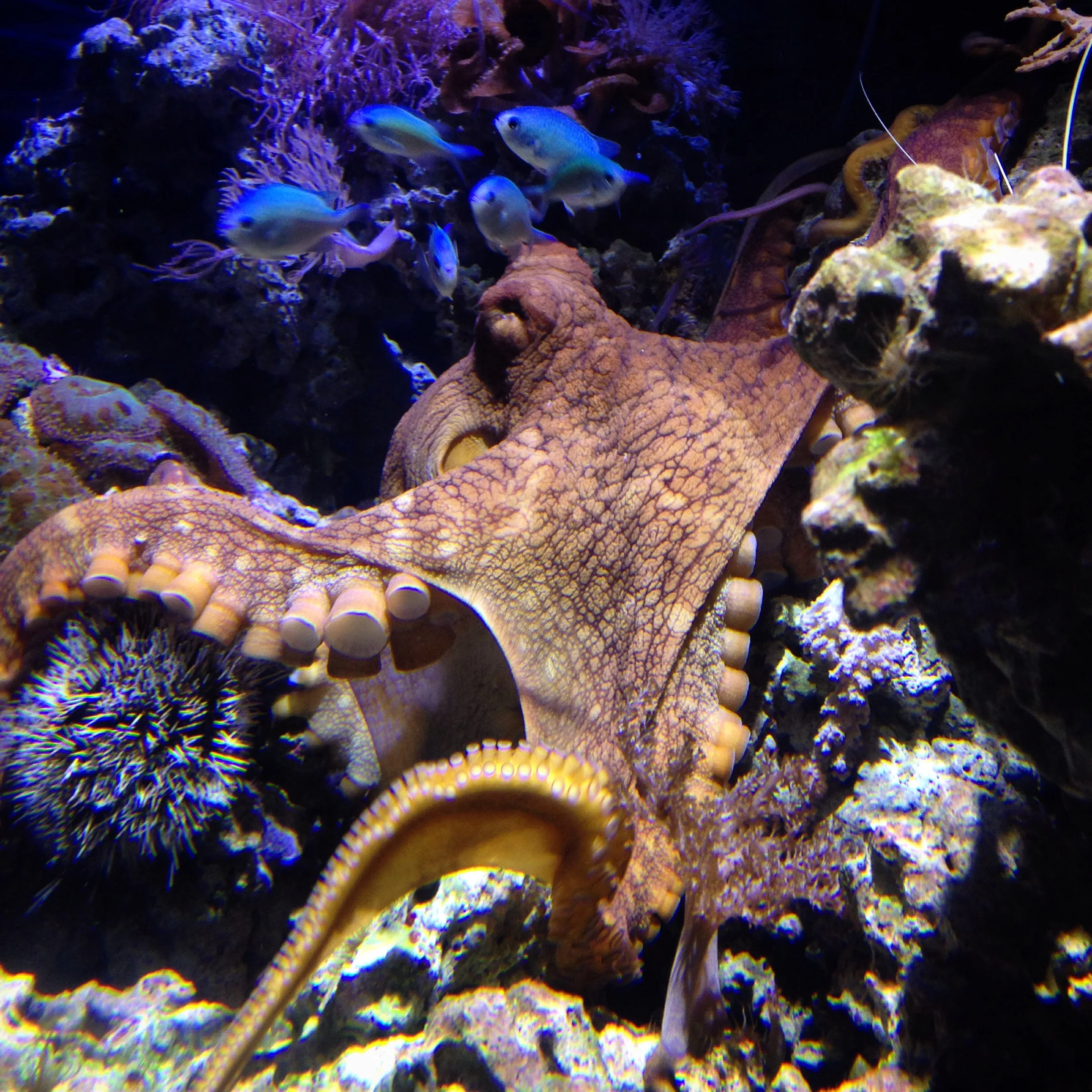 Eight Legs, Don't Care