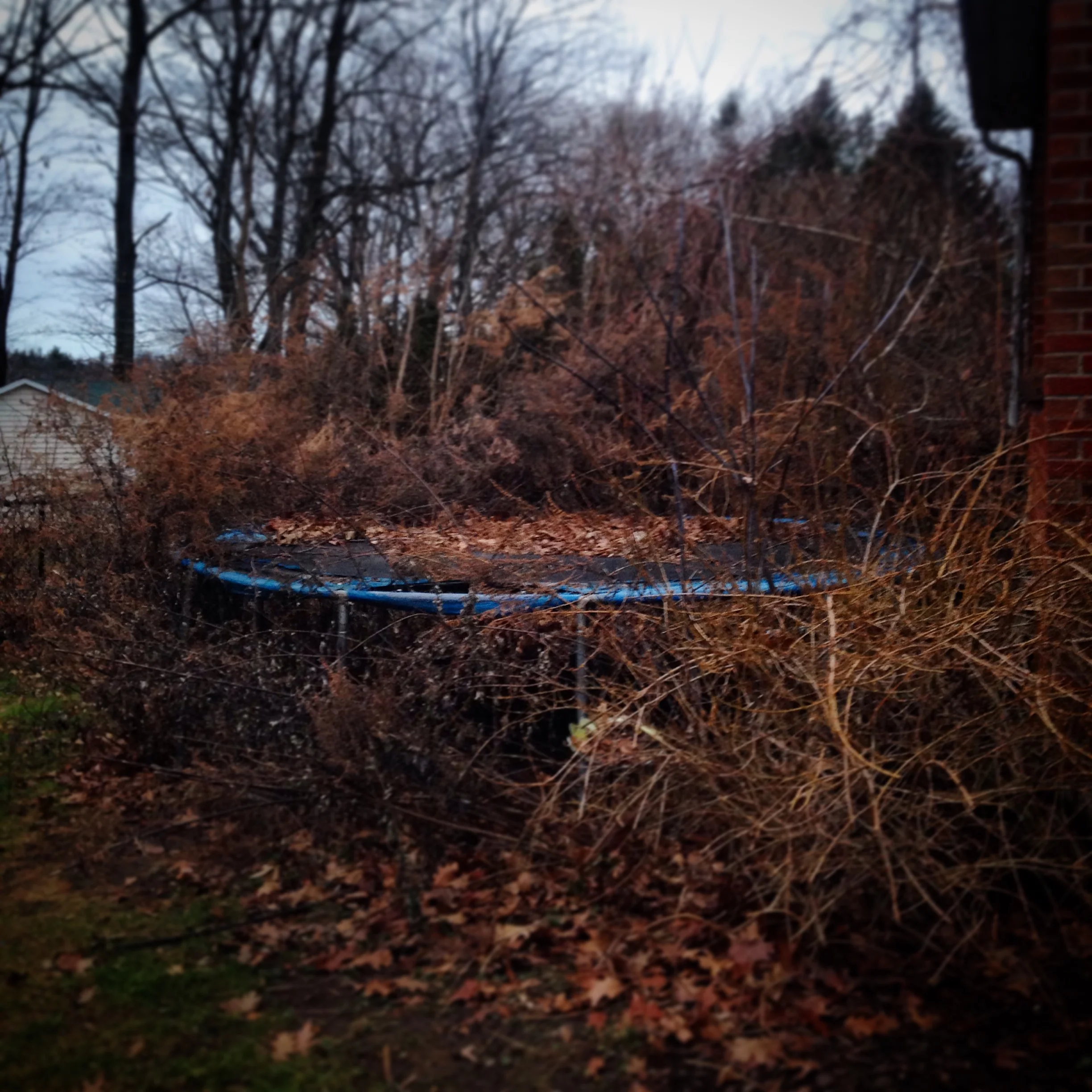 Akron