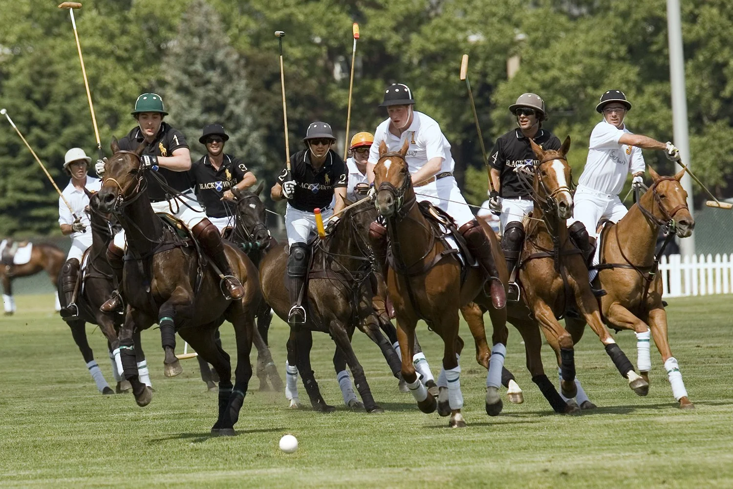 Catherine_Gibbons_3967 princeHarry_Polo..jpg