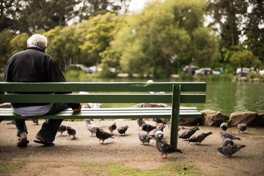 My Mini Paradise: Stow Lake
