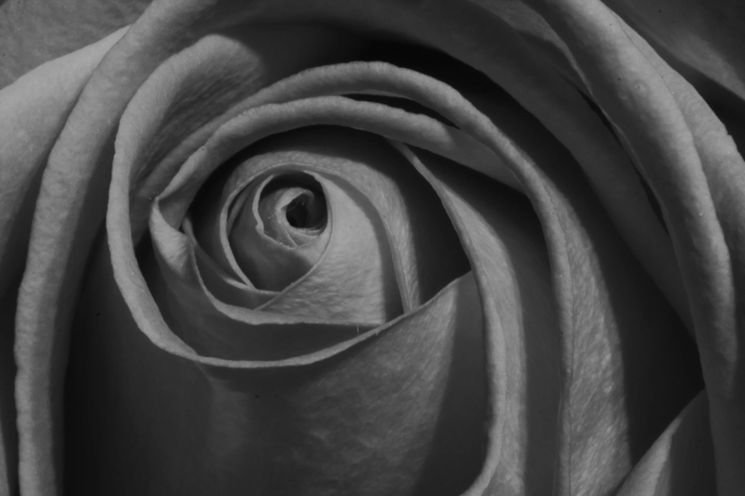 My Reflections on Miscarriage/Stillbirth &amp; Abortion 