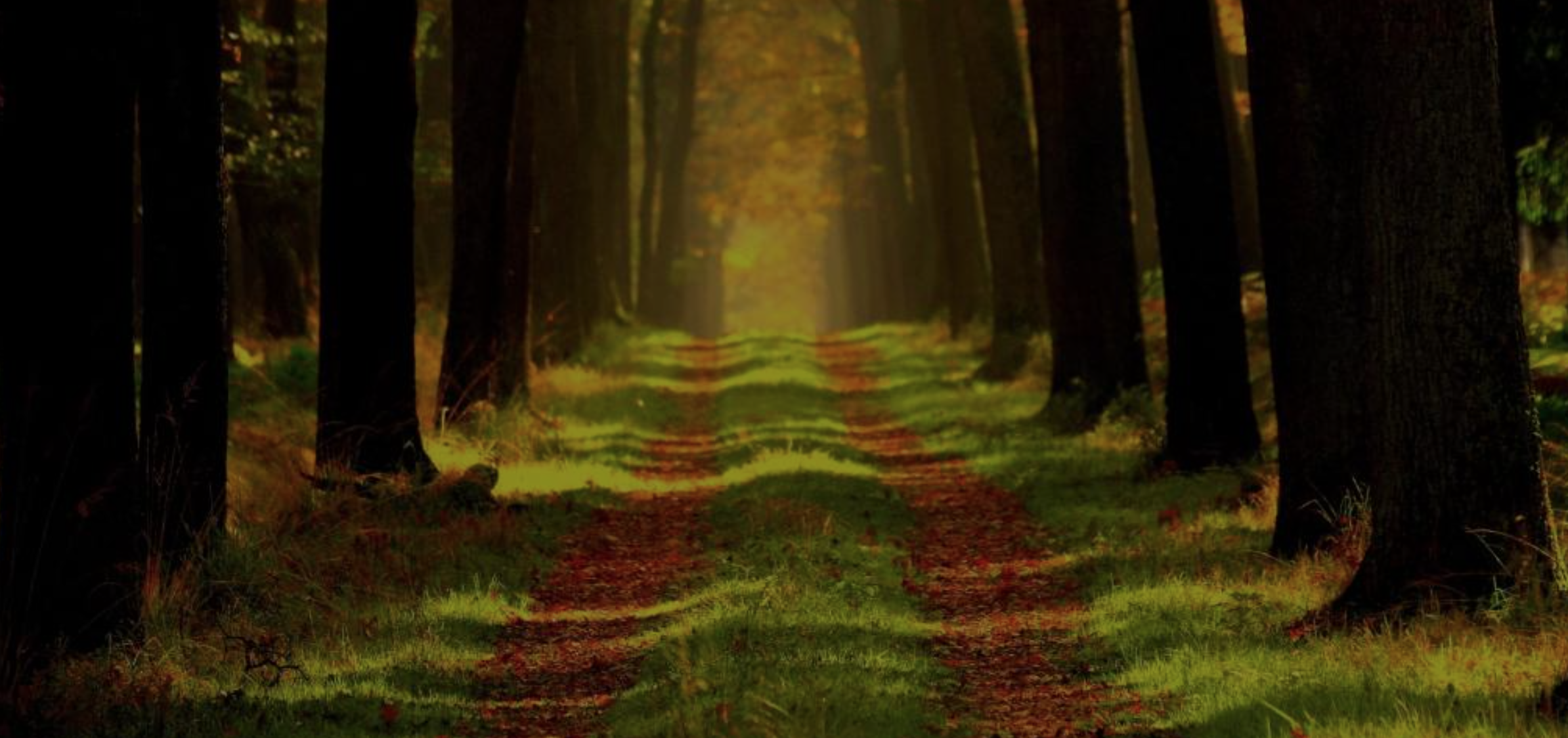 Challenging Ourselves to go Beyond Intentions