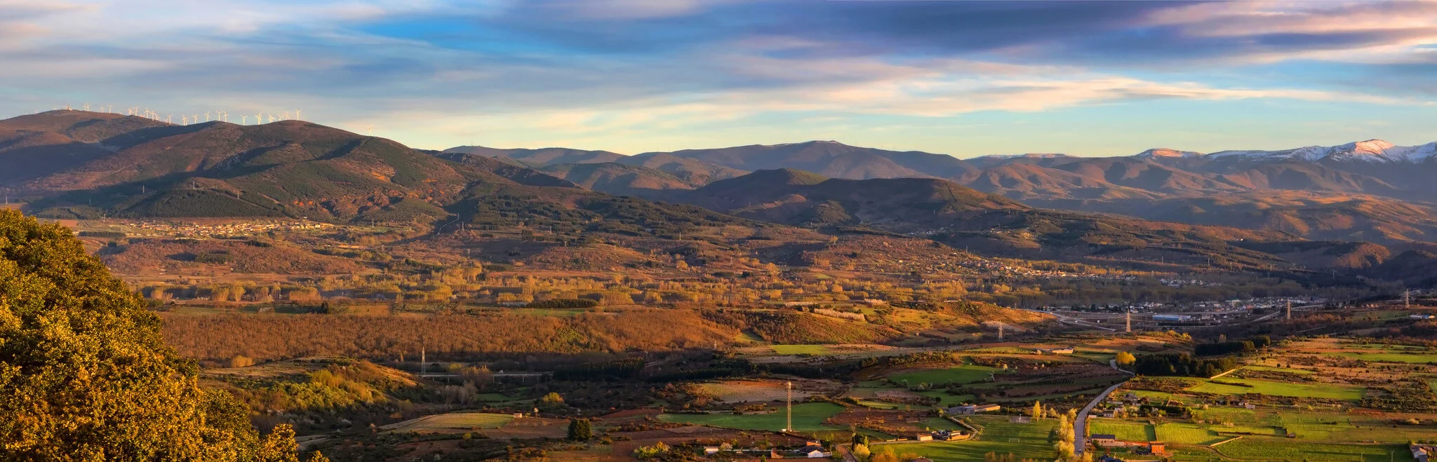 Synergizing Impact and Investment to Steward Whole System Evolution