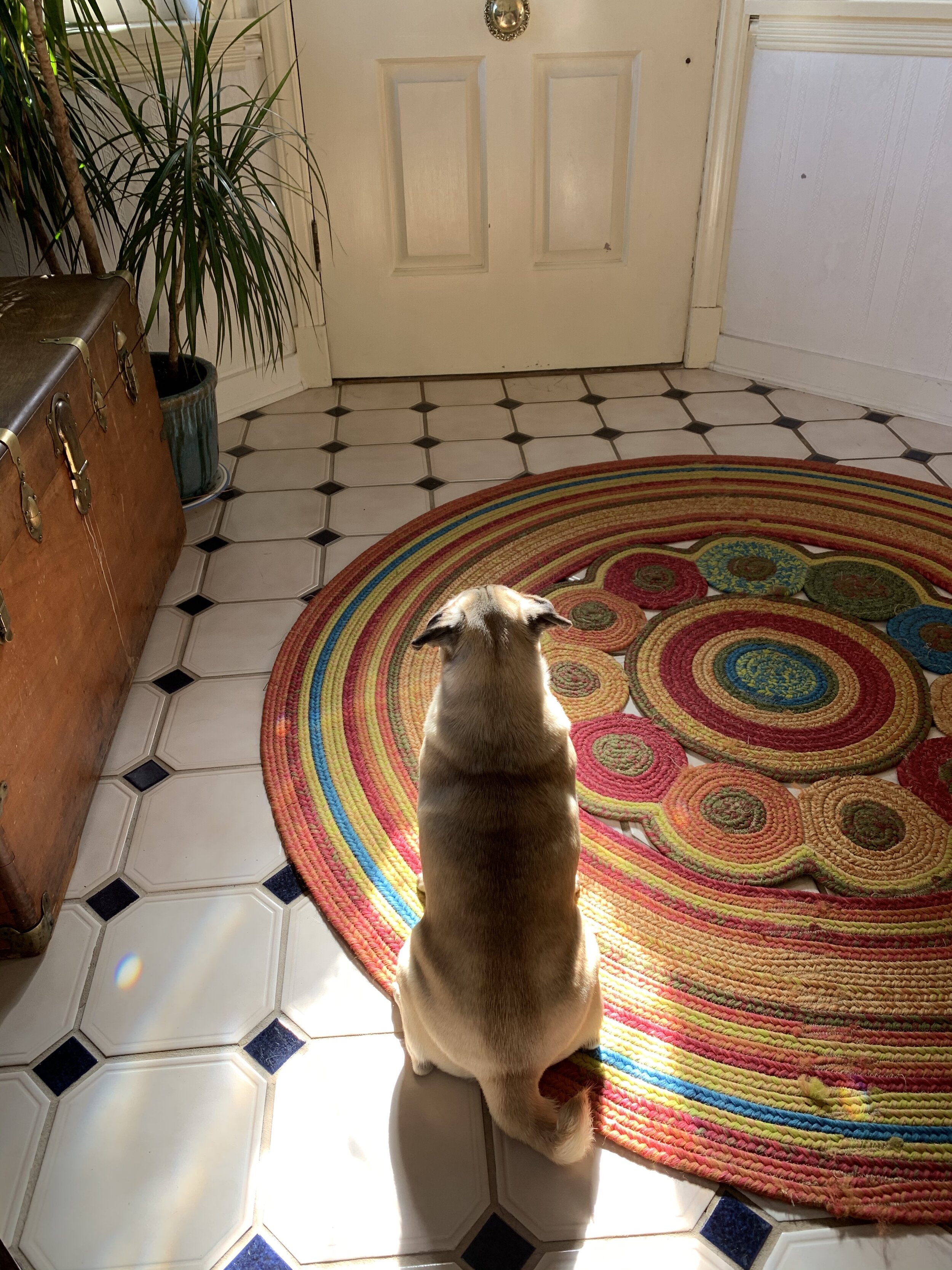 Ella in the front doorway_3342.jpg